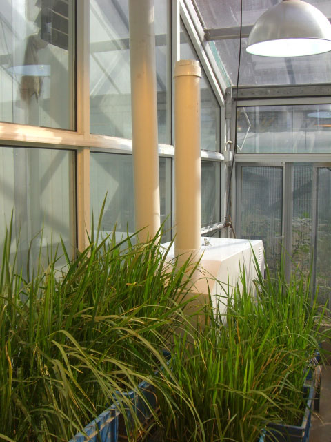 �͵���W����v�����ӝ���ST-18Z�G���҈D