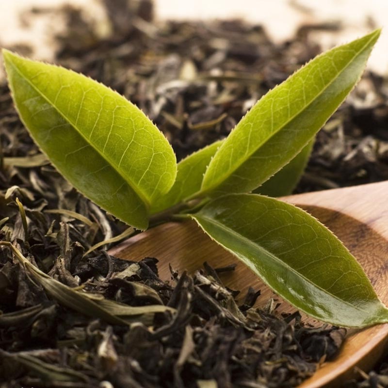 ���y�����ջ������~��əC